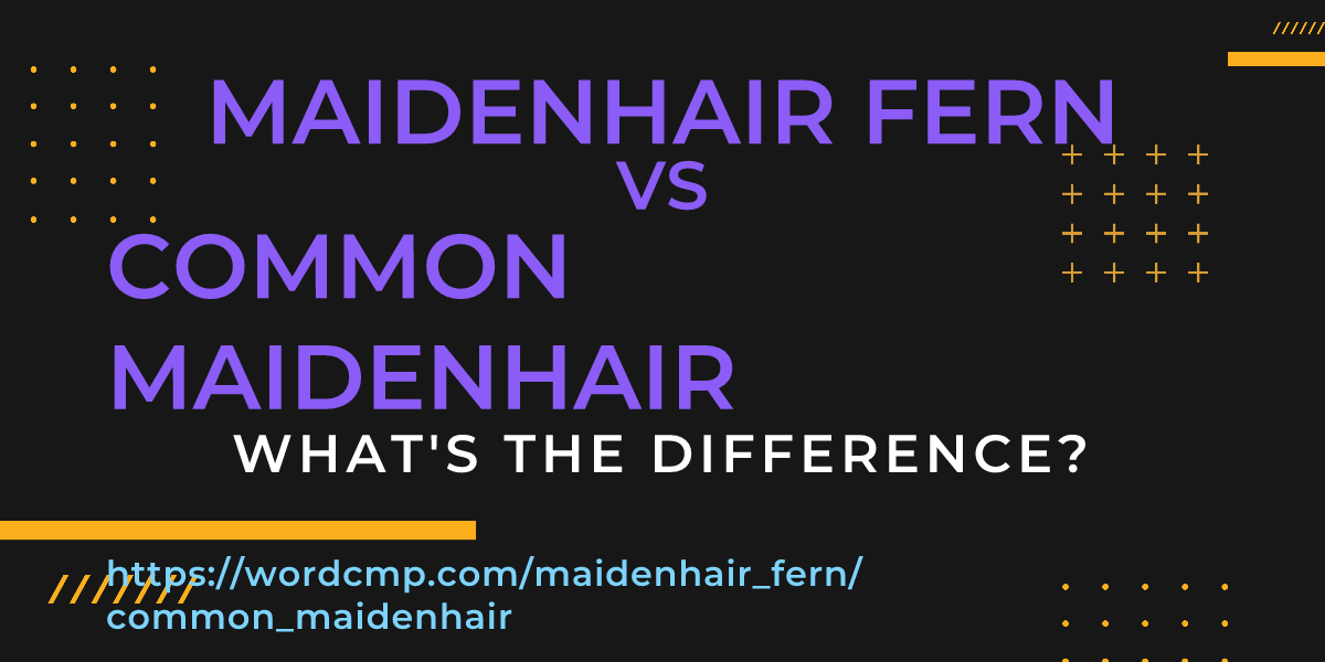 Difference between maidenhair fern and common maidenhair