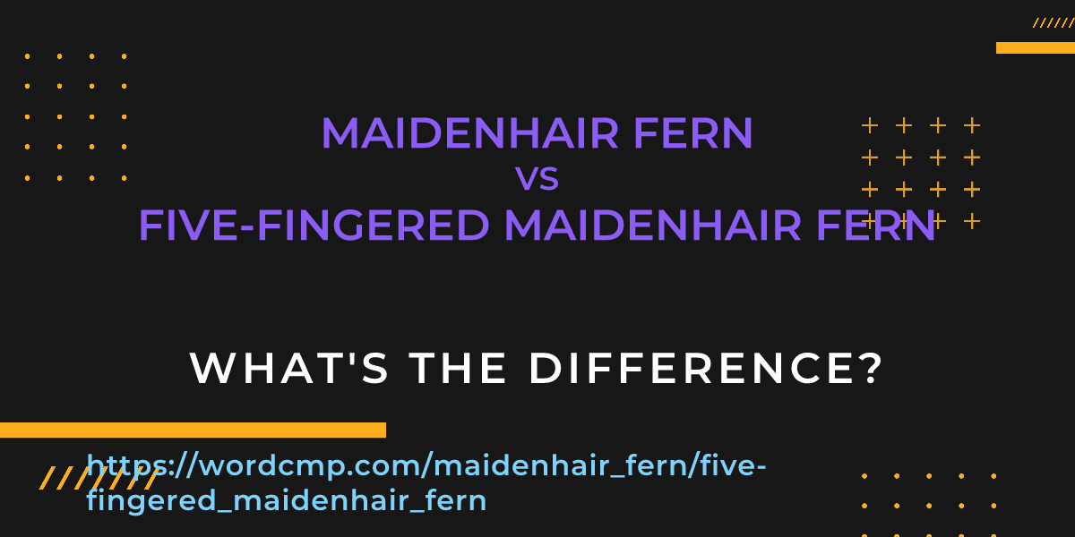 Difference between maidenhair fern and five-fingered maidenhair fern