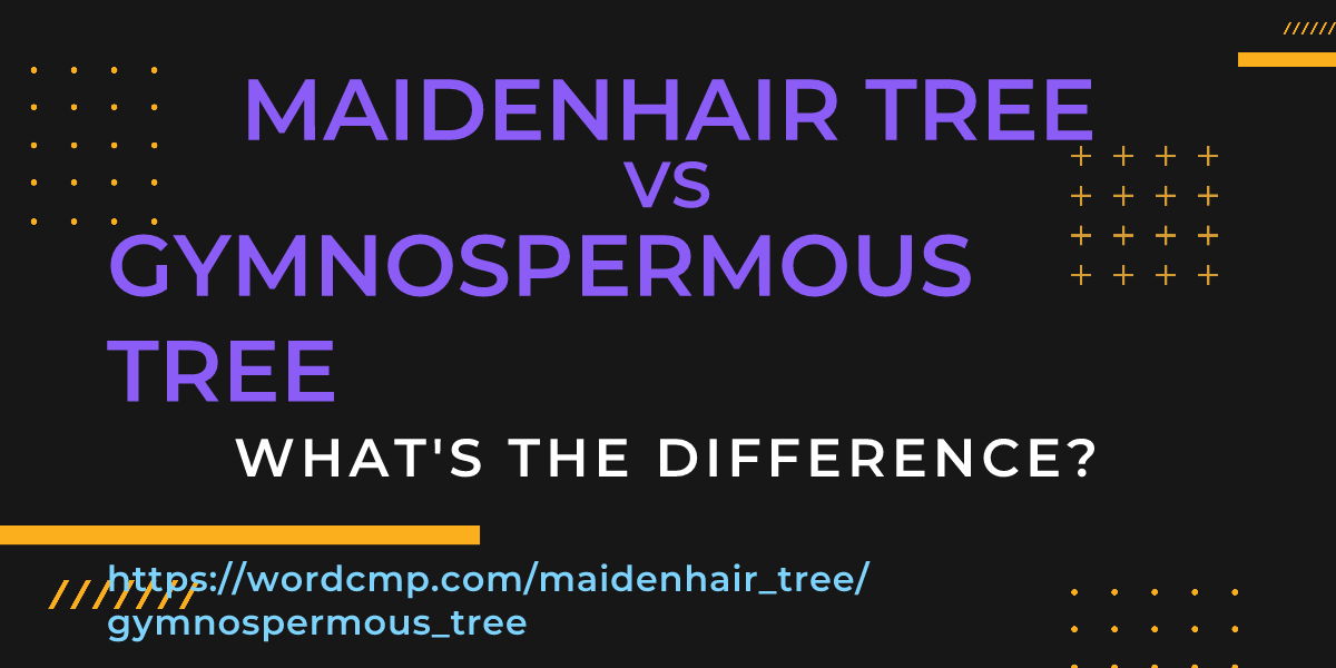 Difference between maidenhair tree and gymnospermous tree