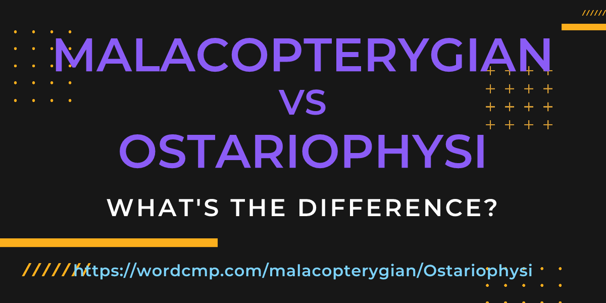 Difference between malacopterygian and Ostariophysi