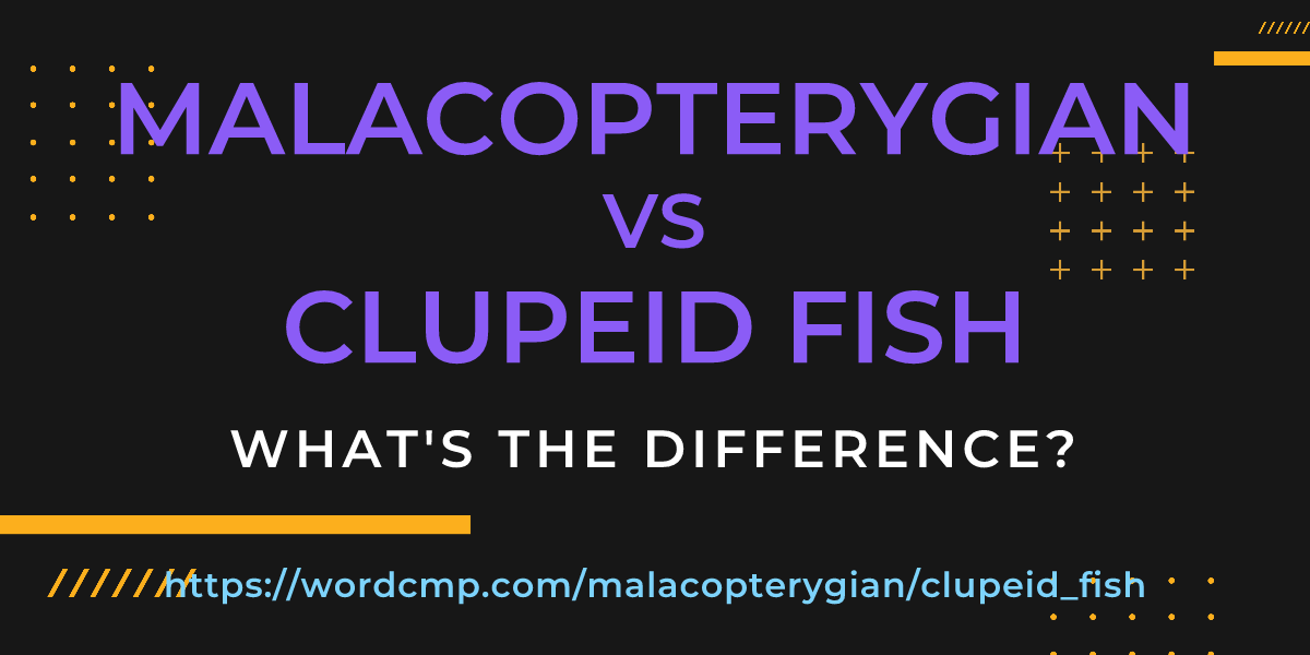 Difference between malacopterygian and clupeid fish