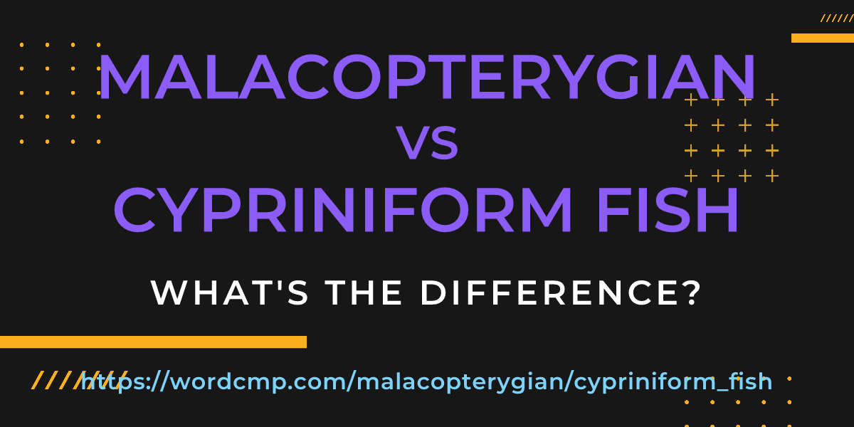 Difference between malacopterygian and cypriniform fish