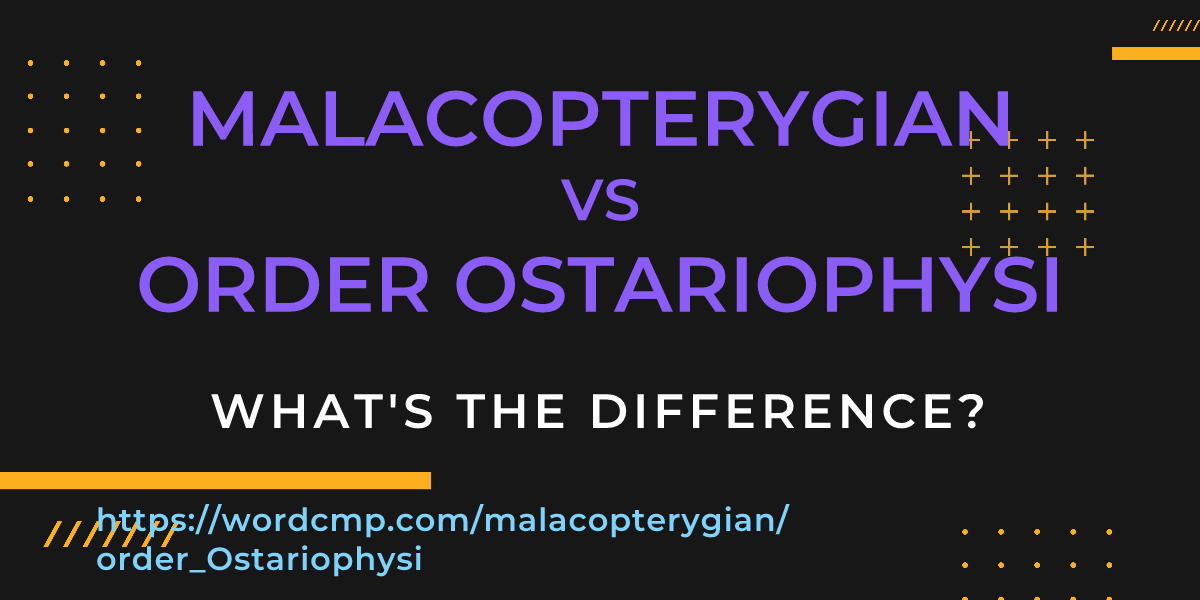 Difference between malacopterygian and order Ostariophysi