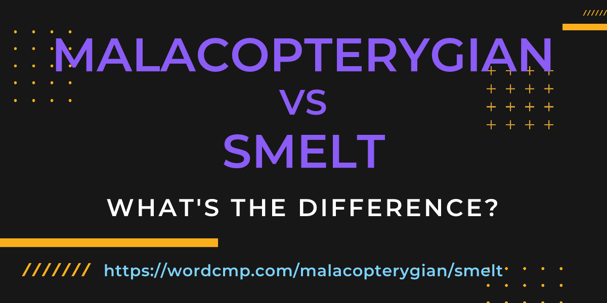 Difference between malacopterygian and smelt