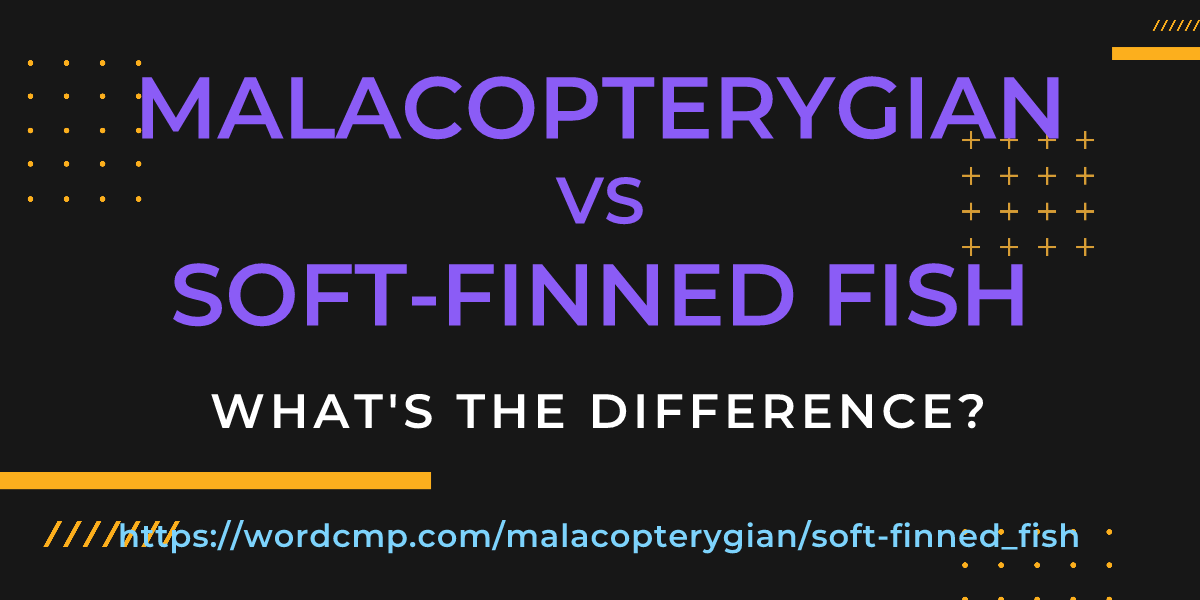 Difference between malacopterygian and soft-finned fish