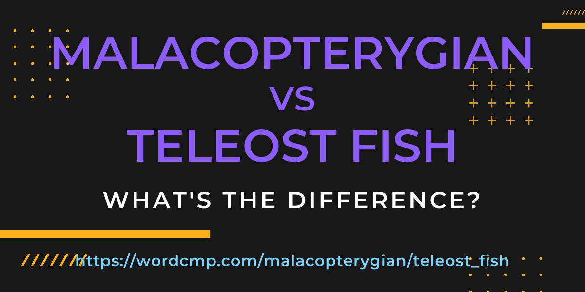Difference between malacopterygian and teleost fish