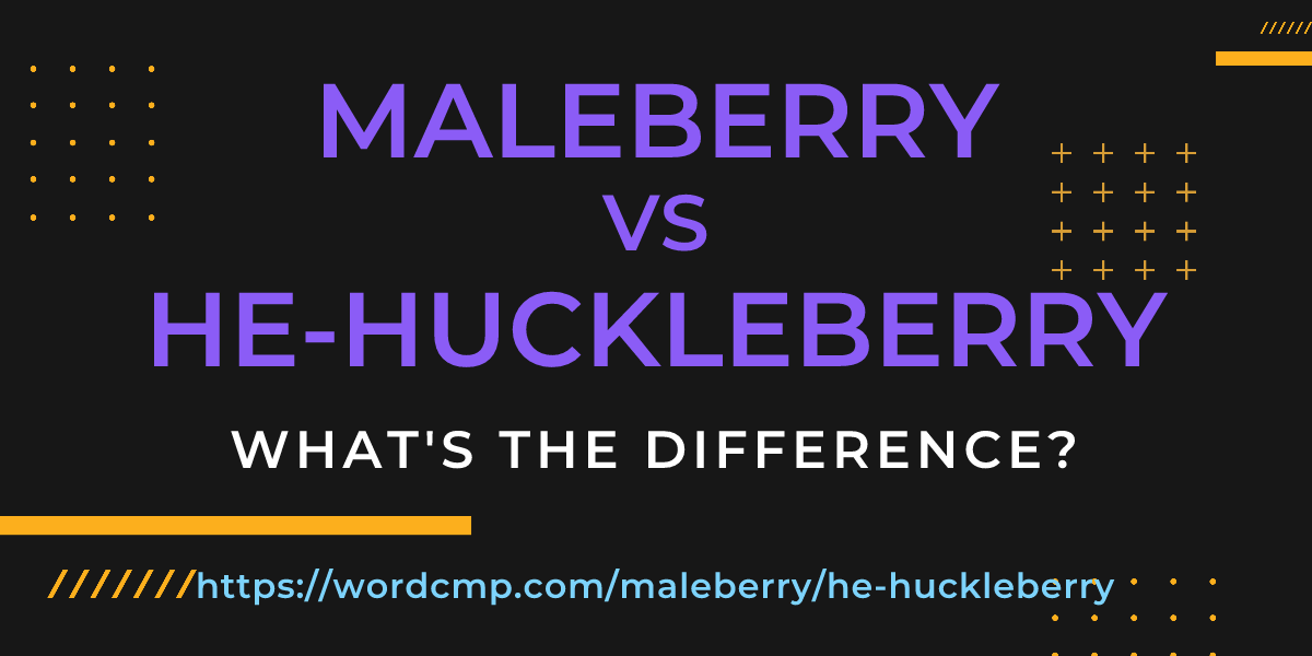 Difference between maleberry and he-huckleberry
