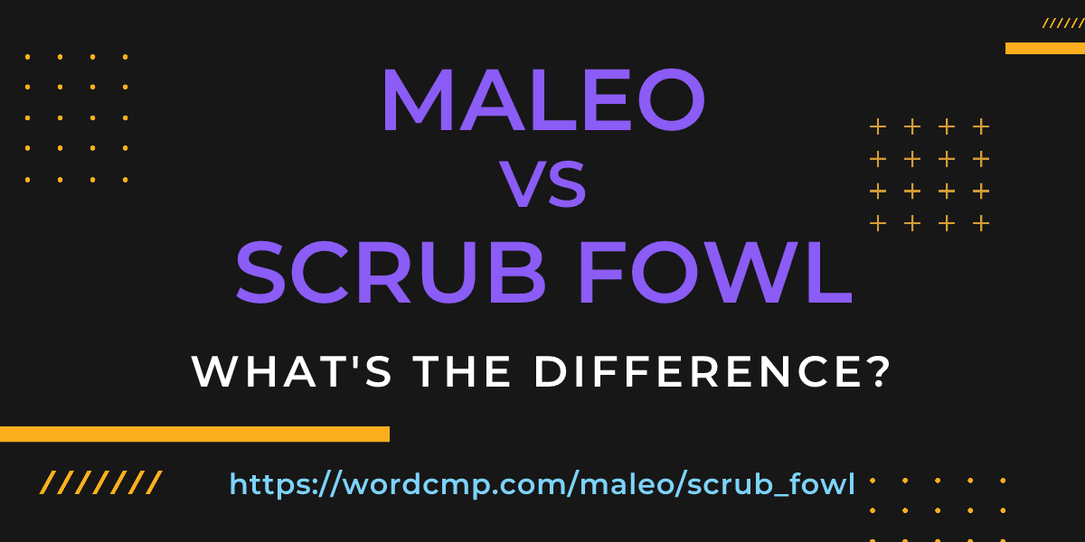 Difference between maleo and scrub fowl