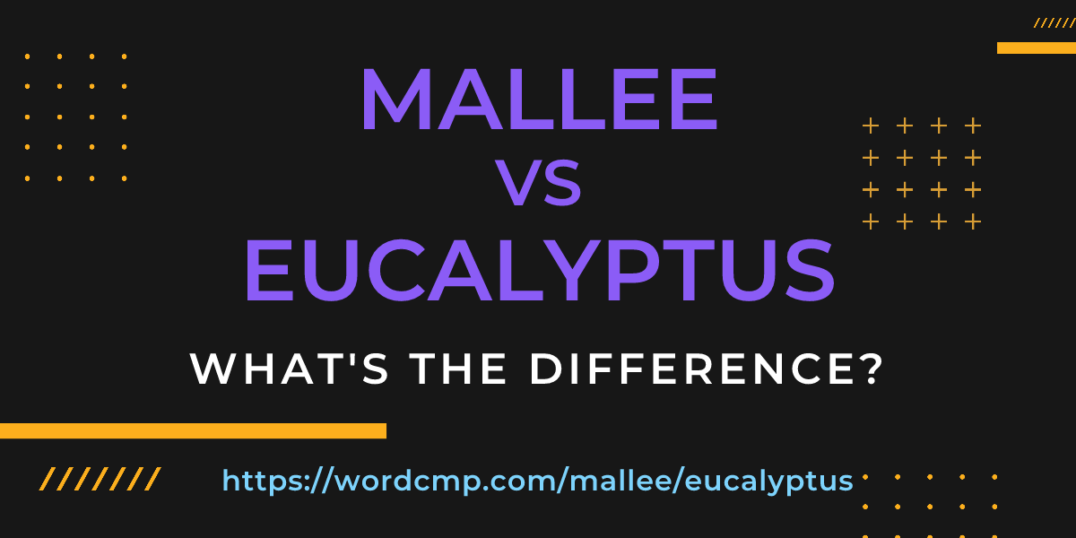 Difference between mallee and eucalyptus