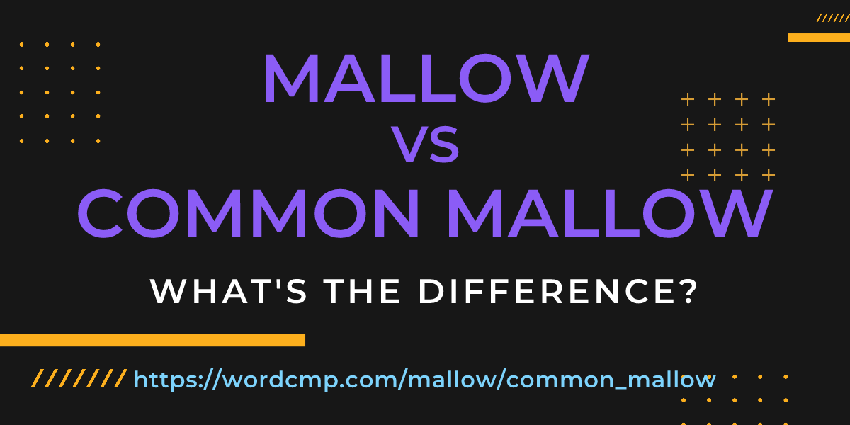 Difference between mallow and common mallow