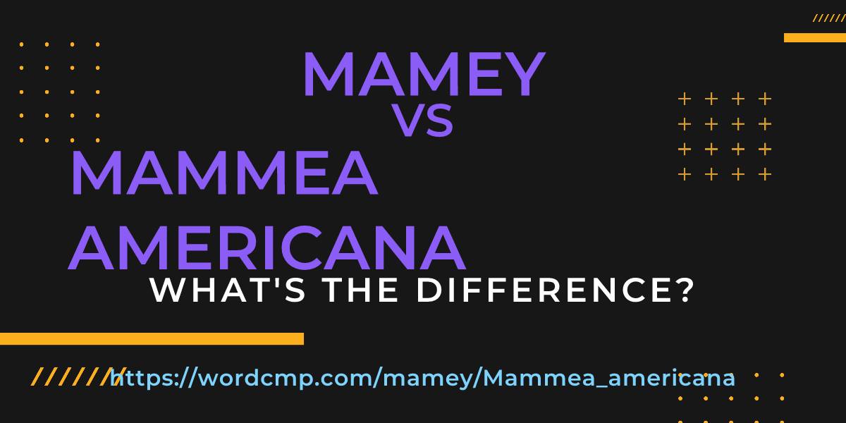 Difference between mamey and Mammea americana
