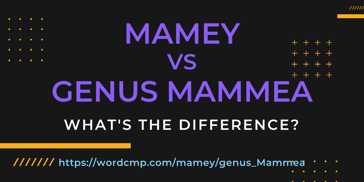 Difference between mamey and genus Mammea