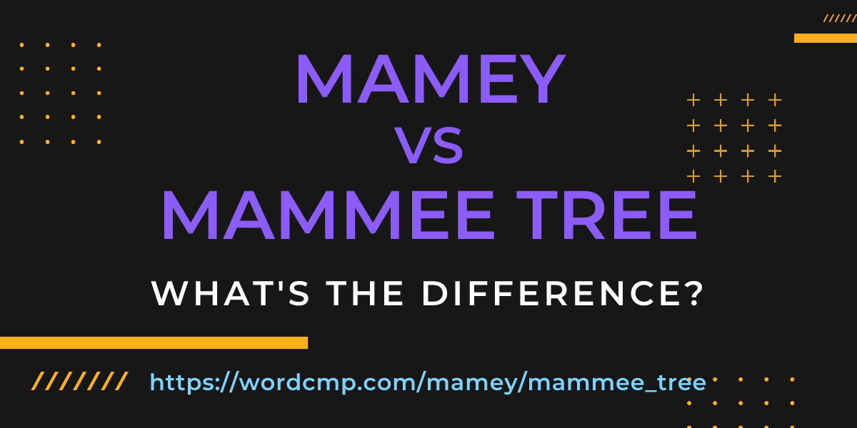Difference between mamey and mammee tree