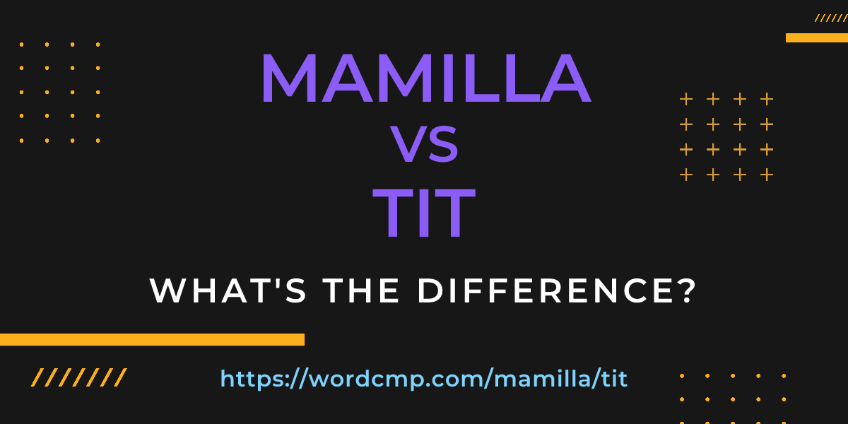 Difference between mamilla and tit