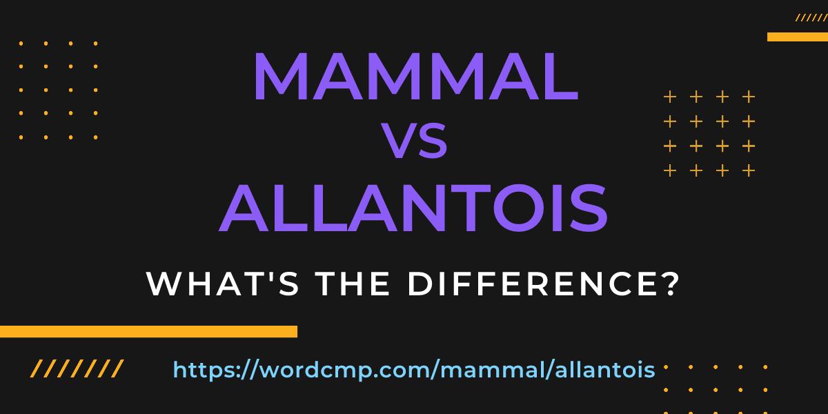 Difference between mammal and allantois