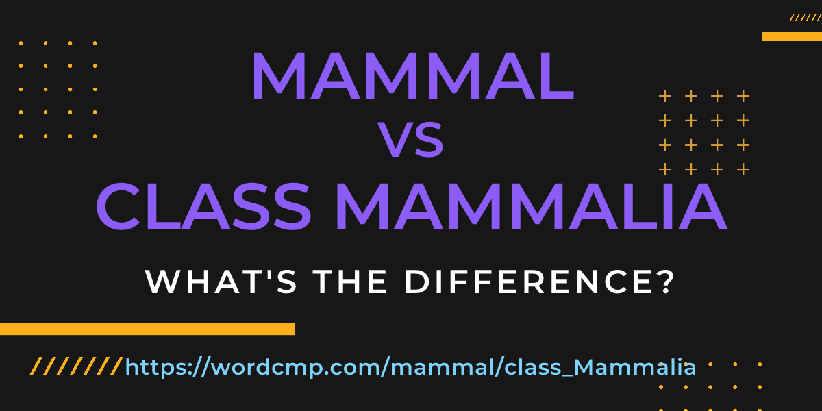 Difference between mammal and class Mammalia