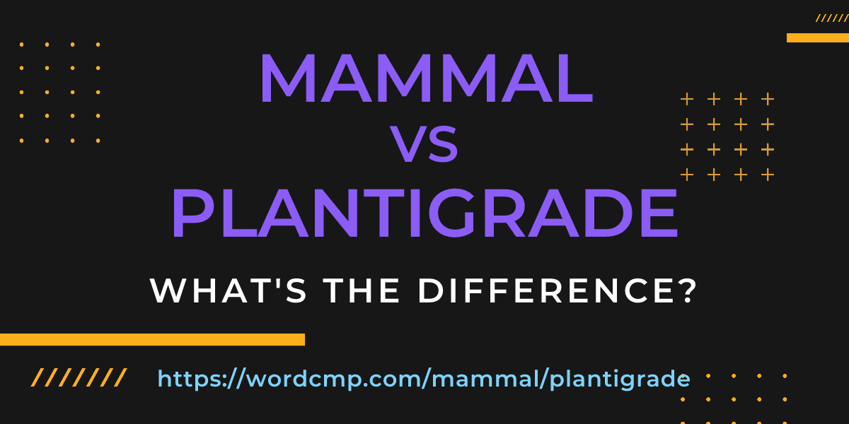 Difference between mammal and plantigrade