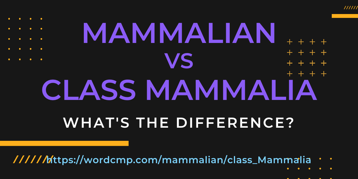 Difference between mammalian and class Mammalia