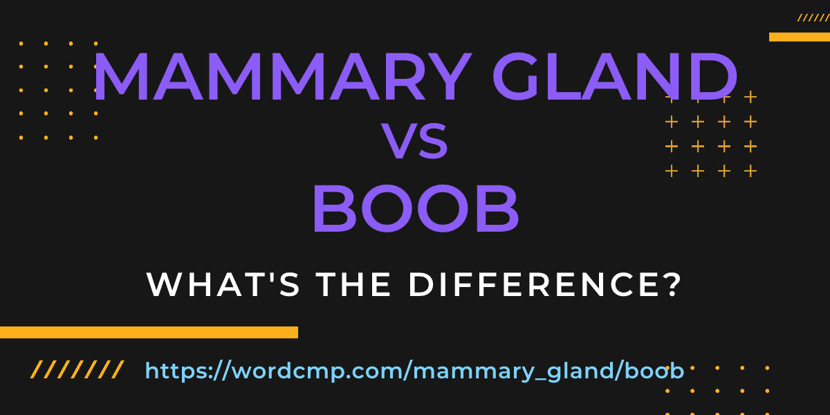 Difference between mammary gland and boob