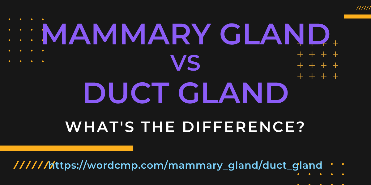 Difference between mammary gland and duct gland