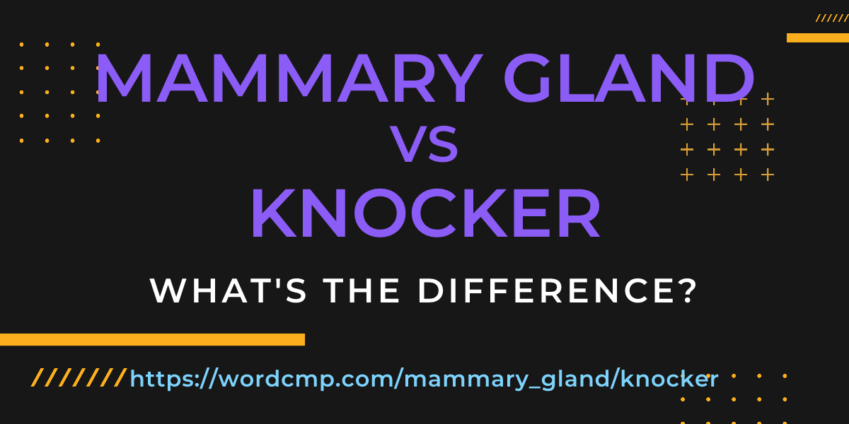 Difference between mammary gland and knocker
