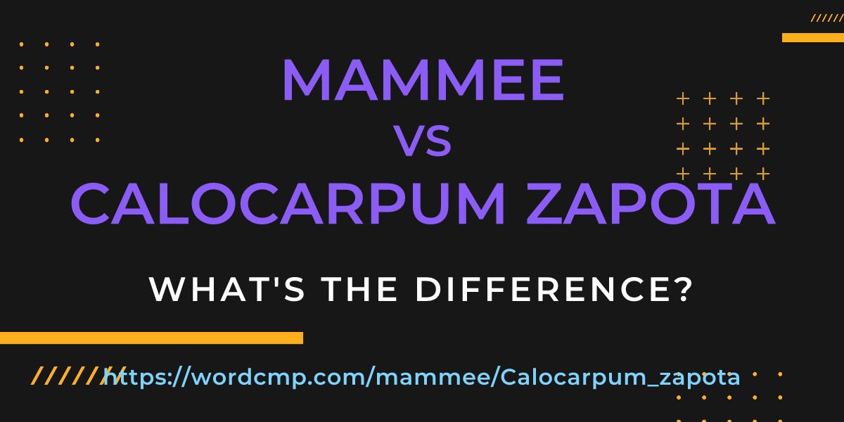 Difference between mammee and Calocarpum zapota