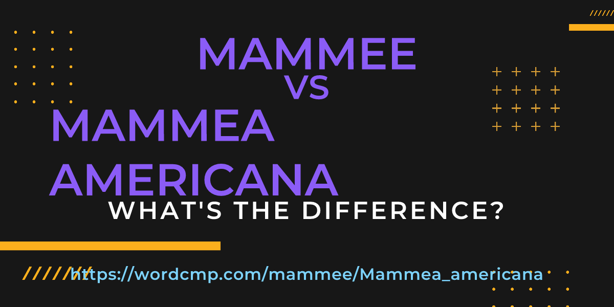 Difference between mammee and Mammea americana