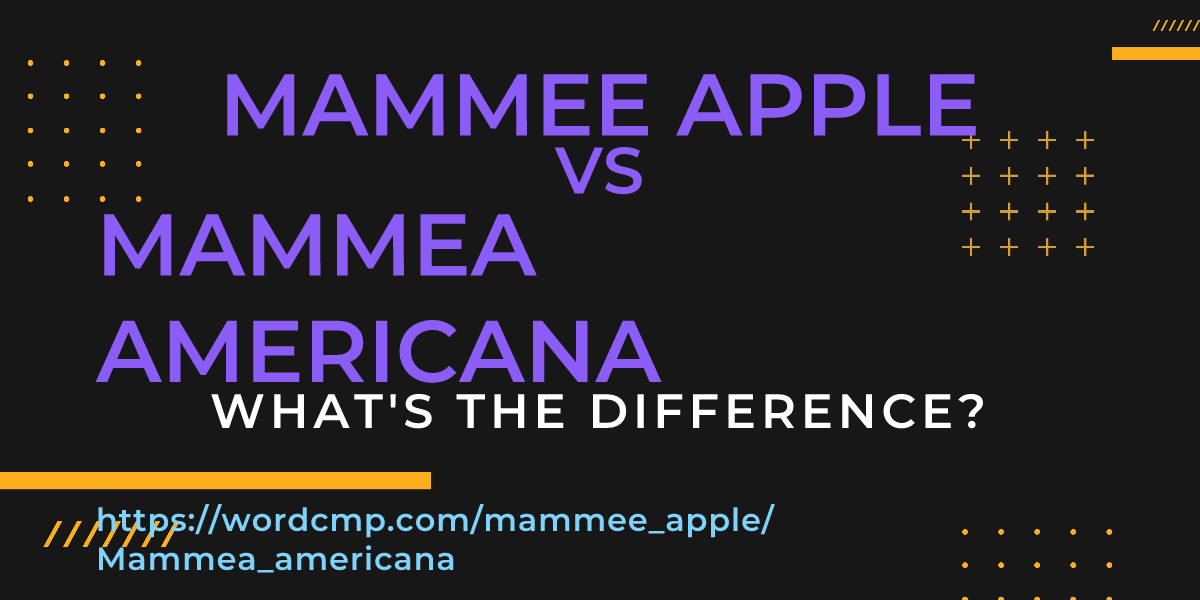 Difference between mammee apple and Mammea americana