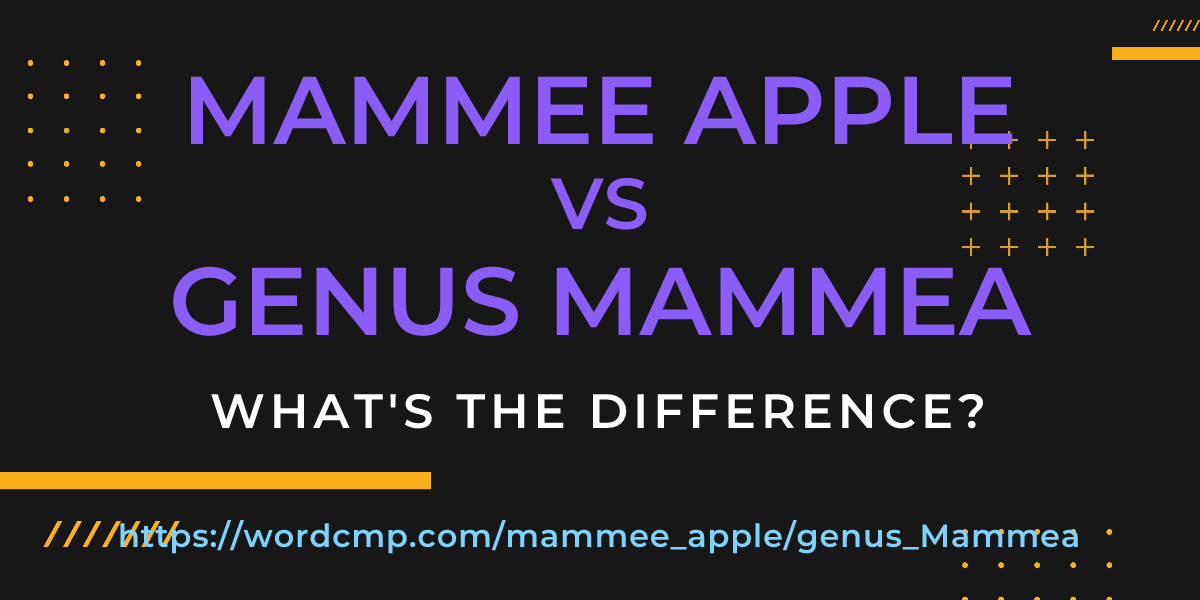 Difference between mammee apple and genus Mammea