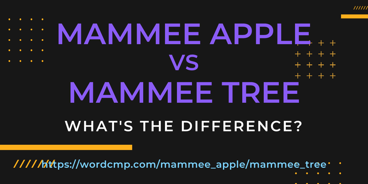 Difference between mammee apple and mammee tree