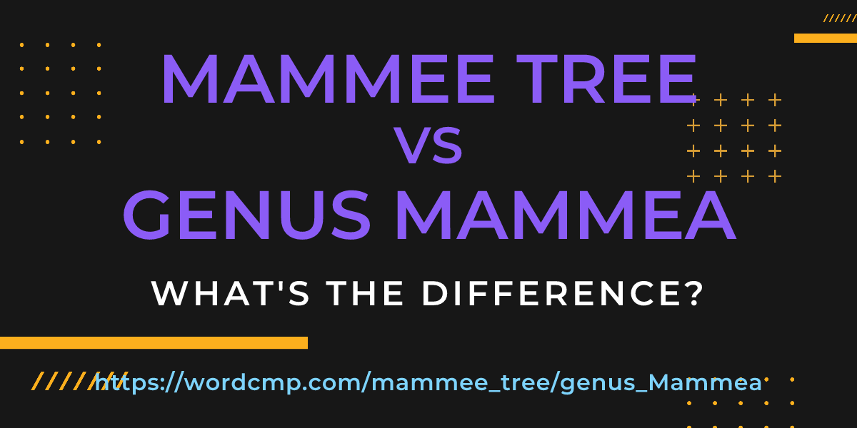 Difference between mammee tree and genus Mammea