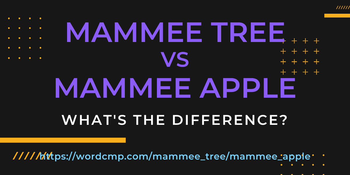 Difference between mammee tree and mammee apple