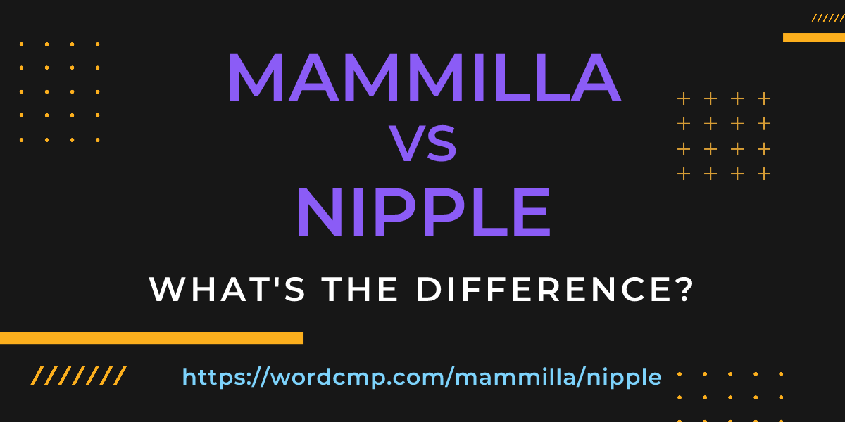 Difference between mammilla and nipple