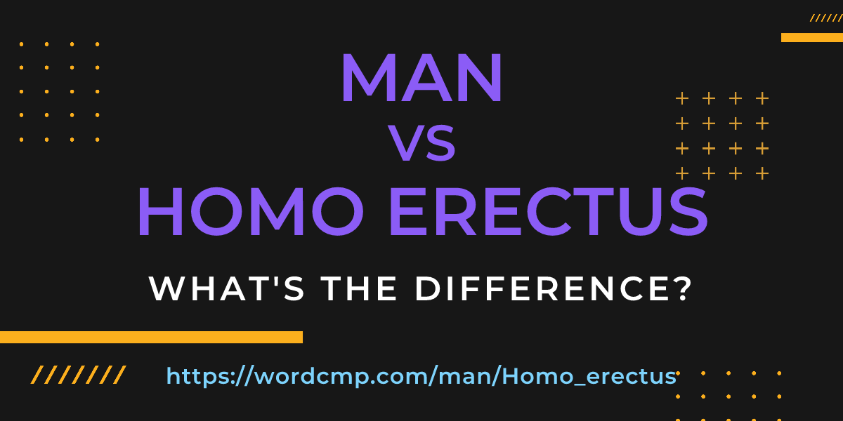 Difference between man and Homo erectus