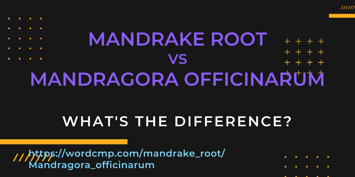 Difference between mandrake root and Mandragora officinarum