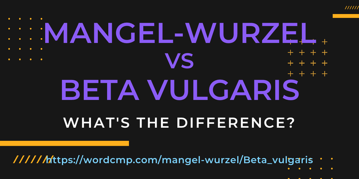 Difference between mangel-wurzel and Beta vulgaris