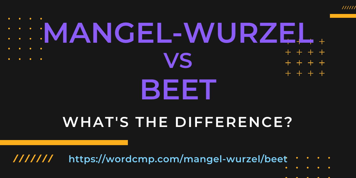 Difference between mangel-wurzel and beet