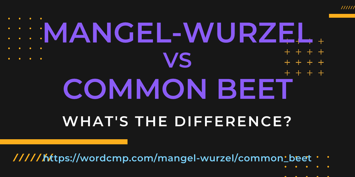 Difference between mangel-wurzel and common beet