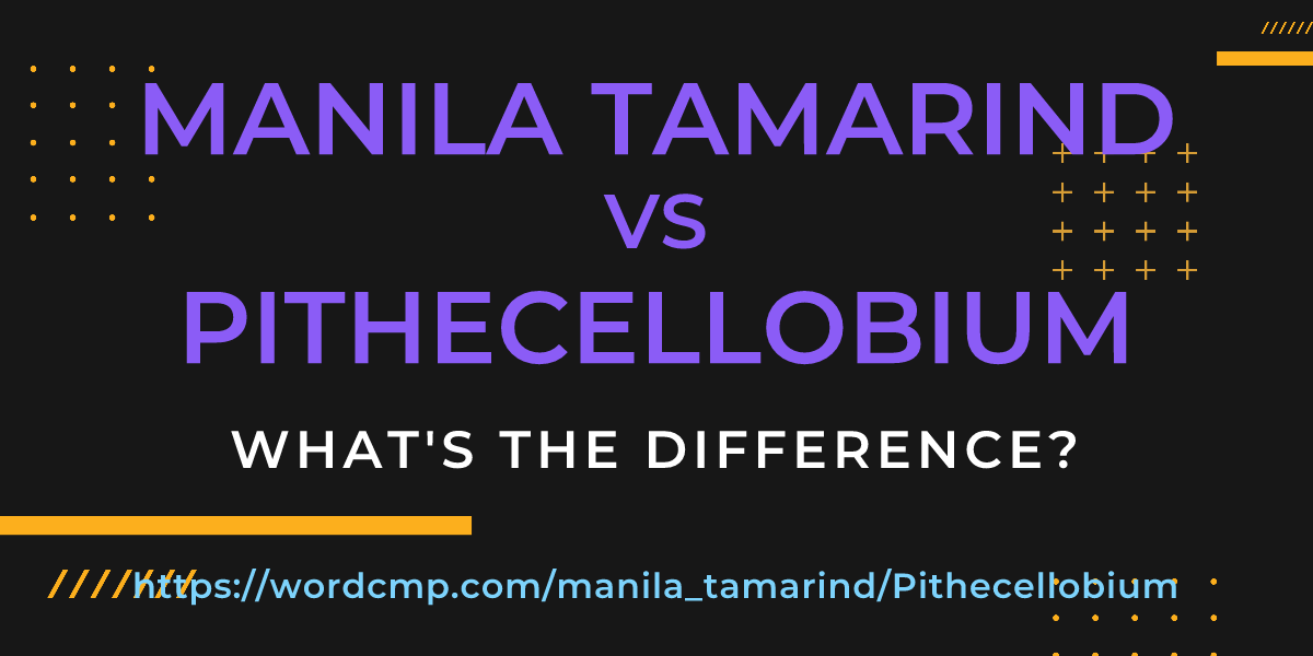 Difference between manila tamarind and Pithecellobium