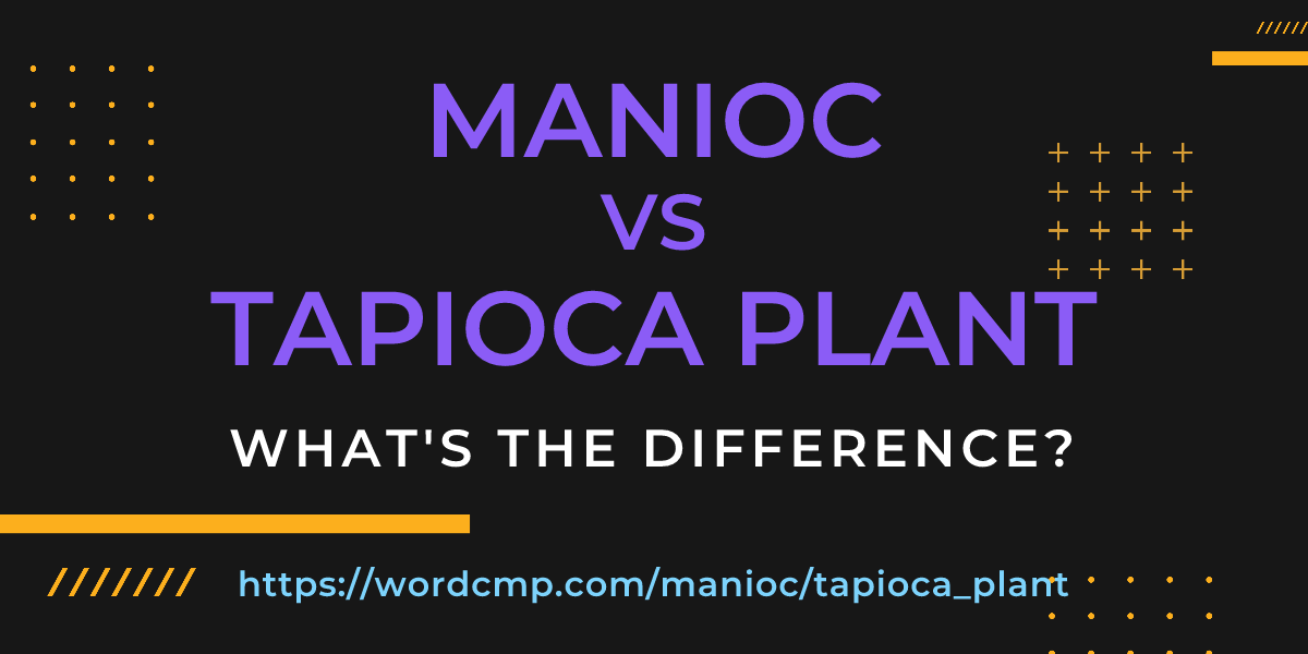 Difference between manioc and tapioca plant