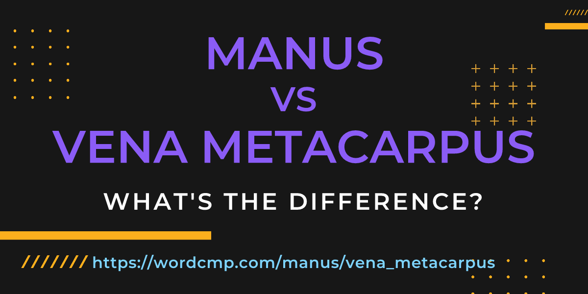Difference between manus and vena metacarpus