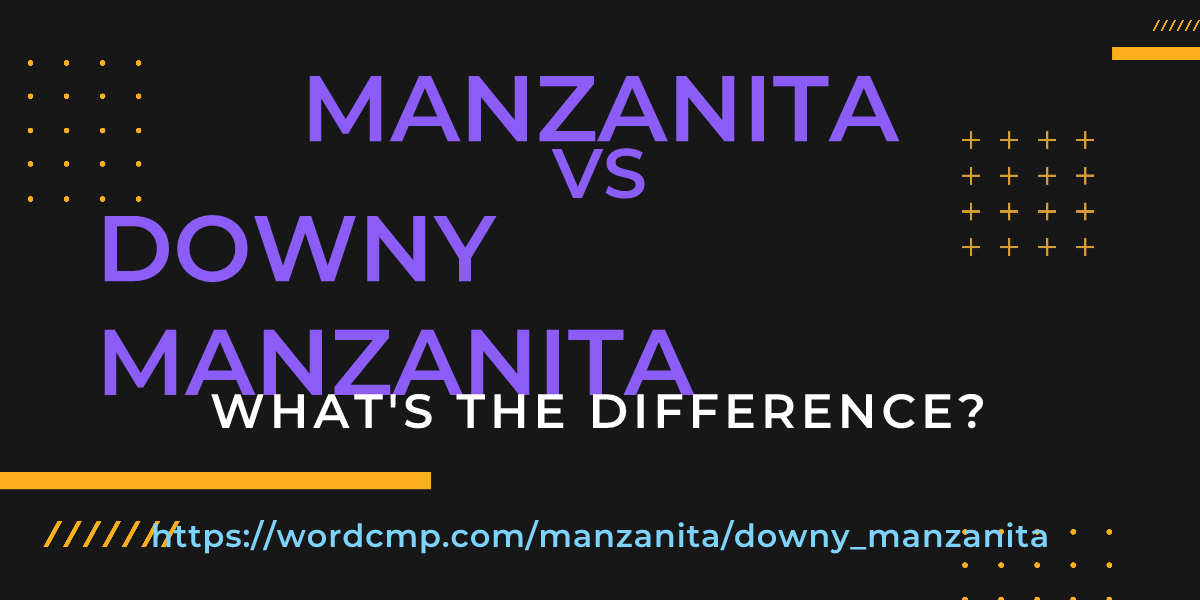 Difference between manzanita and downy manzanita