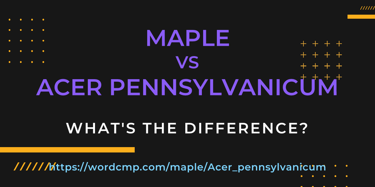 Difference between maple and Acer pennsylvanicum