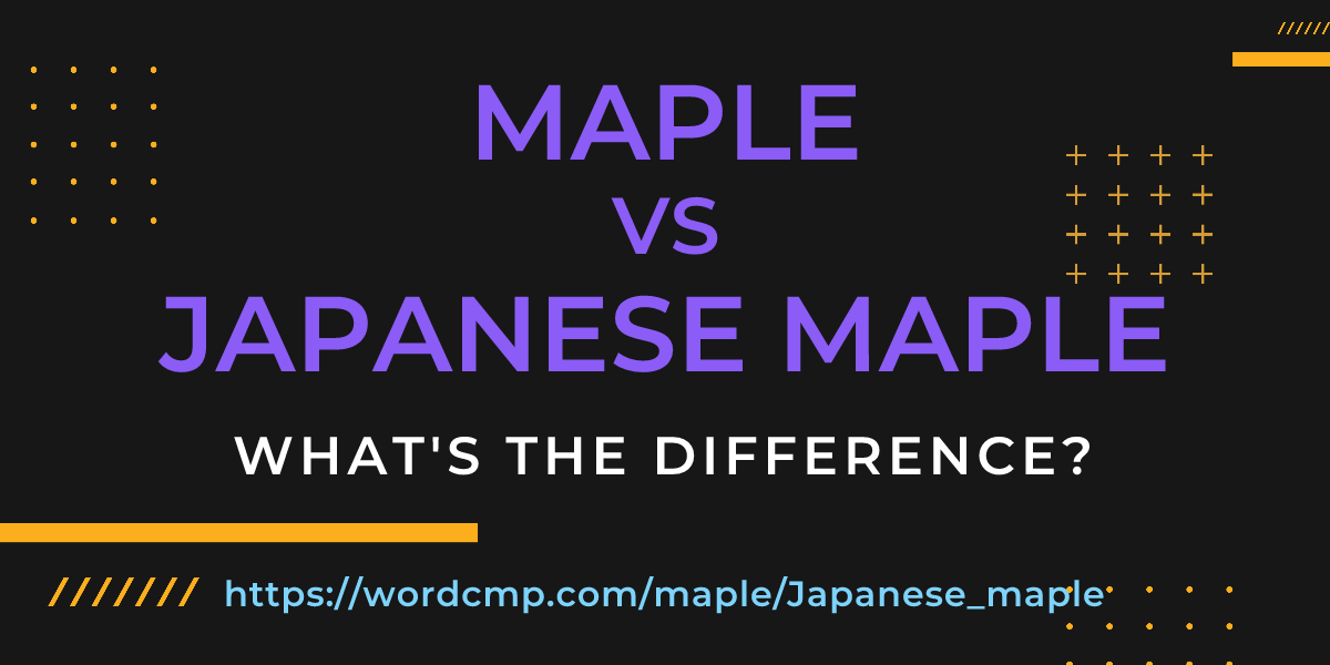 Difference between maple and Japanese maple