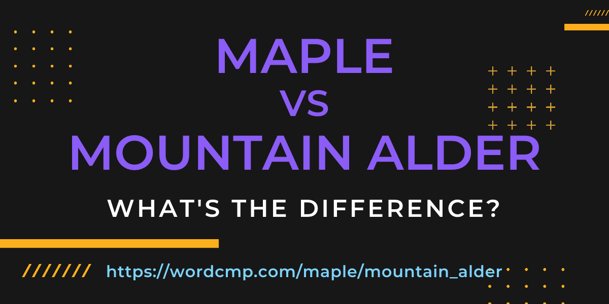 Difference between maple and mountain alder