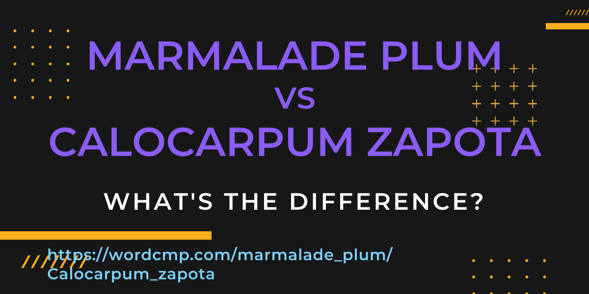 Difference between marmalade plum and Calocarpum zapota