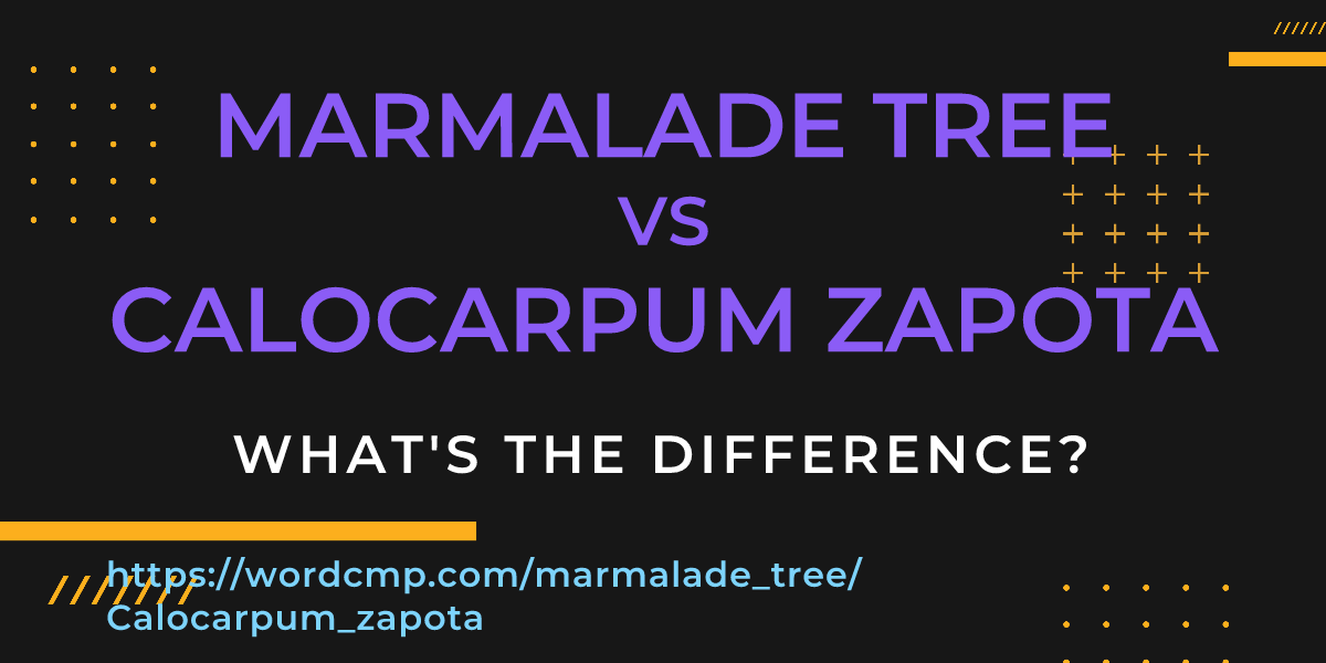 Difference between marmalade tree and Calocarpum zapota