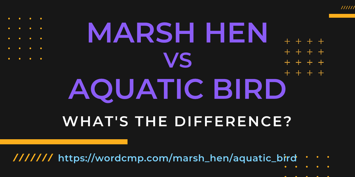Difference between marsh hen and aquatic bird