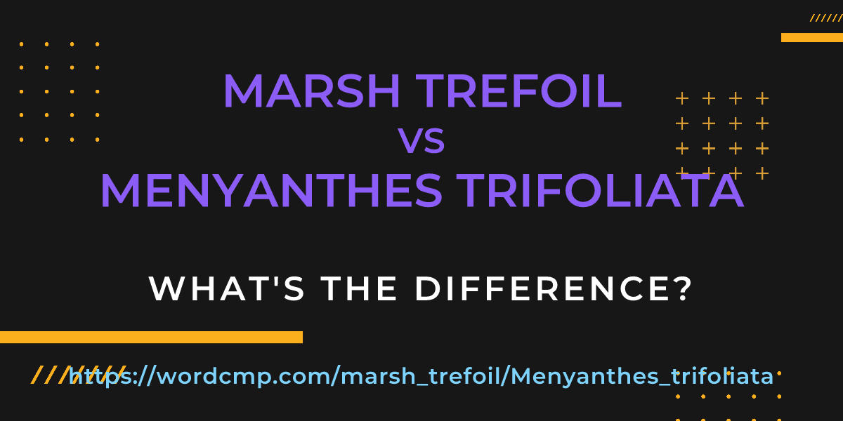Difference between marsh trefoil and Menyanthes trifoliata