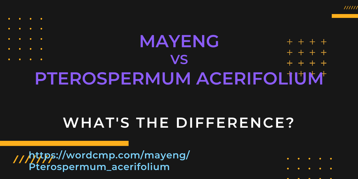 Difference between mayeng and Pterospermum acerifolium